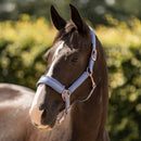 Imperial Riding Halfter Lovely, Light Shadow