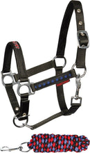 Harry's Horse Stout! Black Halter Set