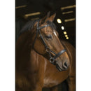 Norton Halfter Comfort Side Pull, schwarz