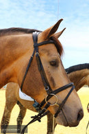 Centaur Headstall Hamilton Combined, Black