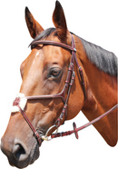 Kentaur Halfter Knoxville Mexican, Tabak