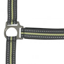 Norton Halter Buckle, Grey