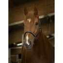 Norton Halster Leather Strass, Zwart