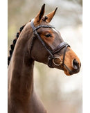 HB Bridle Great, Brown