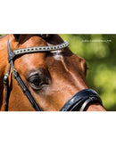 HB Hoofdstel J. van Westerhuis, Zwart