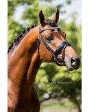 HB Hoofdstel J. van Westerhuis, Zwart