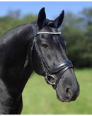 HB Trense Corrado, Schwarz