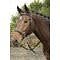 Harry's Horse Bitless Bridle, Crossed, Black