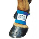 Prolite Fesselbandage, Blau