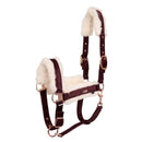 HV Polo Halfter HVP Welmoed, Dark Berry