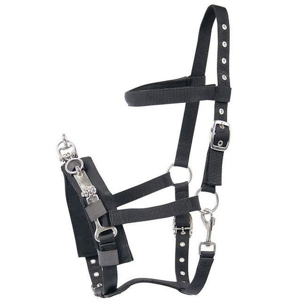 Harry's Horse Kaptoom, Zwart